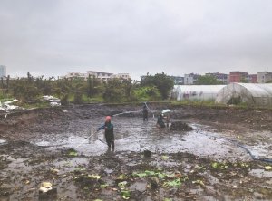 五台河道鱼塘清淤